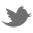 footer-twitter